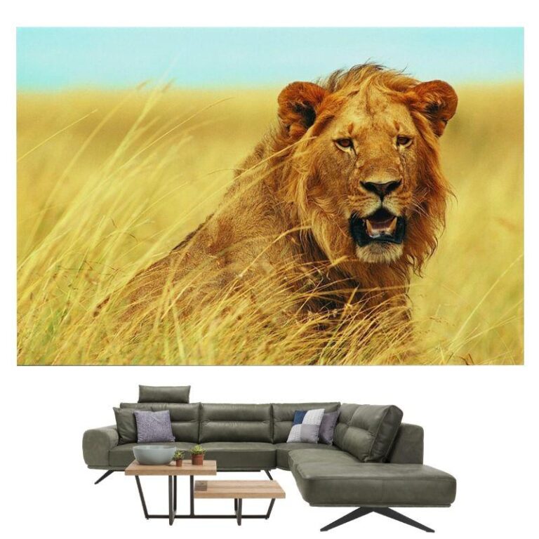 Tableau Lion Savane