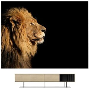 Tableau Lion Simplicité