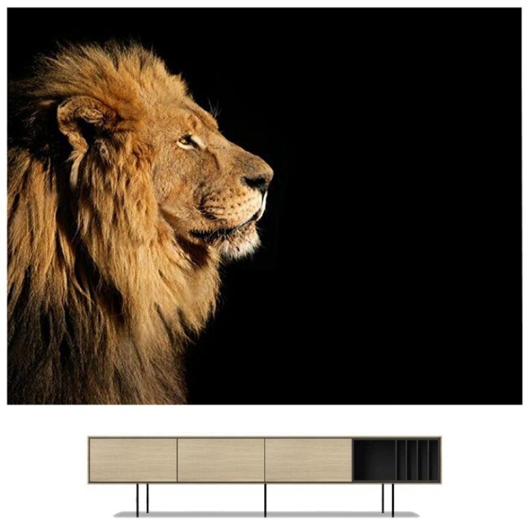 Tableau Lion Simplicité