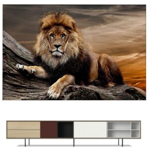 Tableau Lion Splendeur