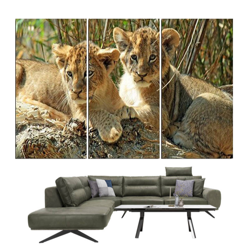 Tableau Lionceaux | Lion Royaume