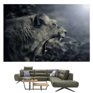 Tableau Lionne Design