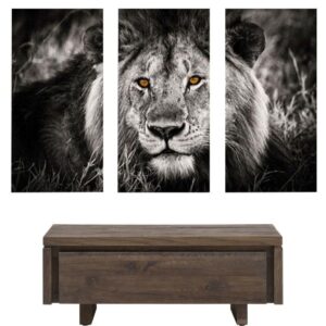 Tableau Tête de Lion Noir et Blanc