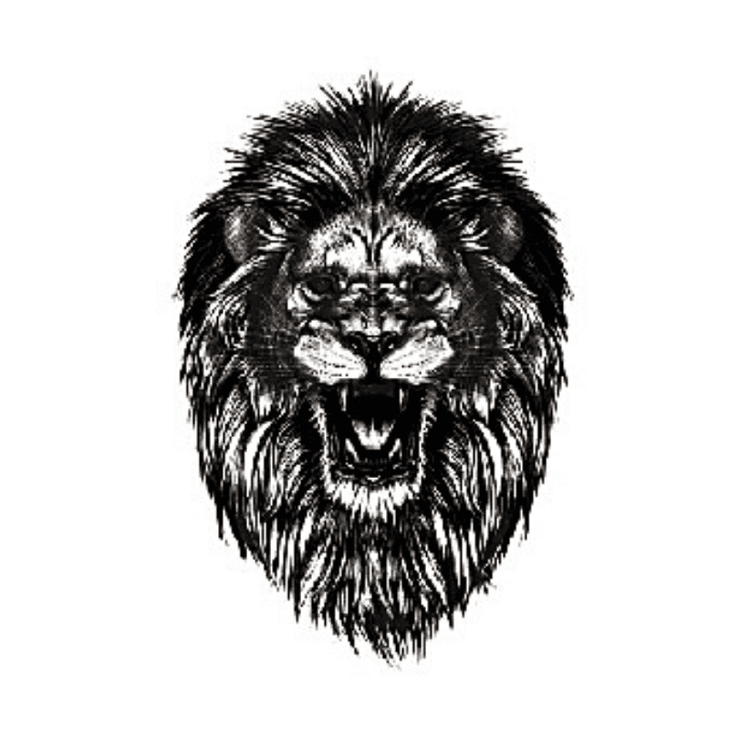 Tatouage Éphémère Lion Joyeux