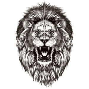 Tatouage Éphémère Lion Samouraï