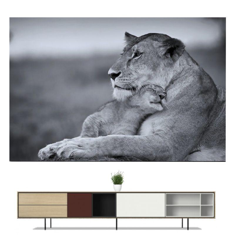 Toile Lionne Lionceau