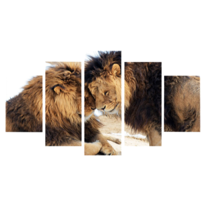 Tableau de deux lions tête contre tête.