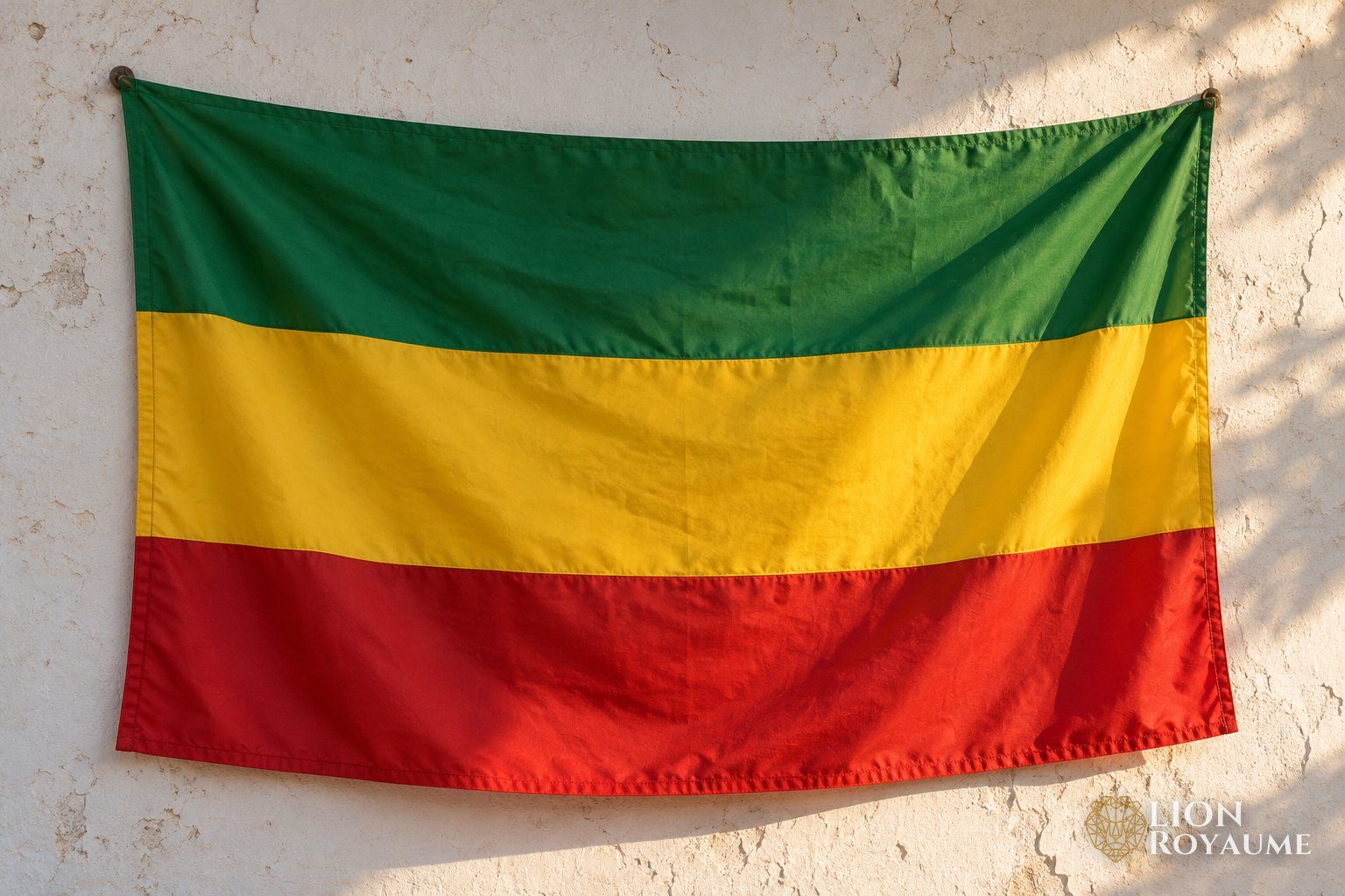 Drapeau à trois bandes horizontales verte, jaune et rouge accroché à un mur blanc