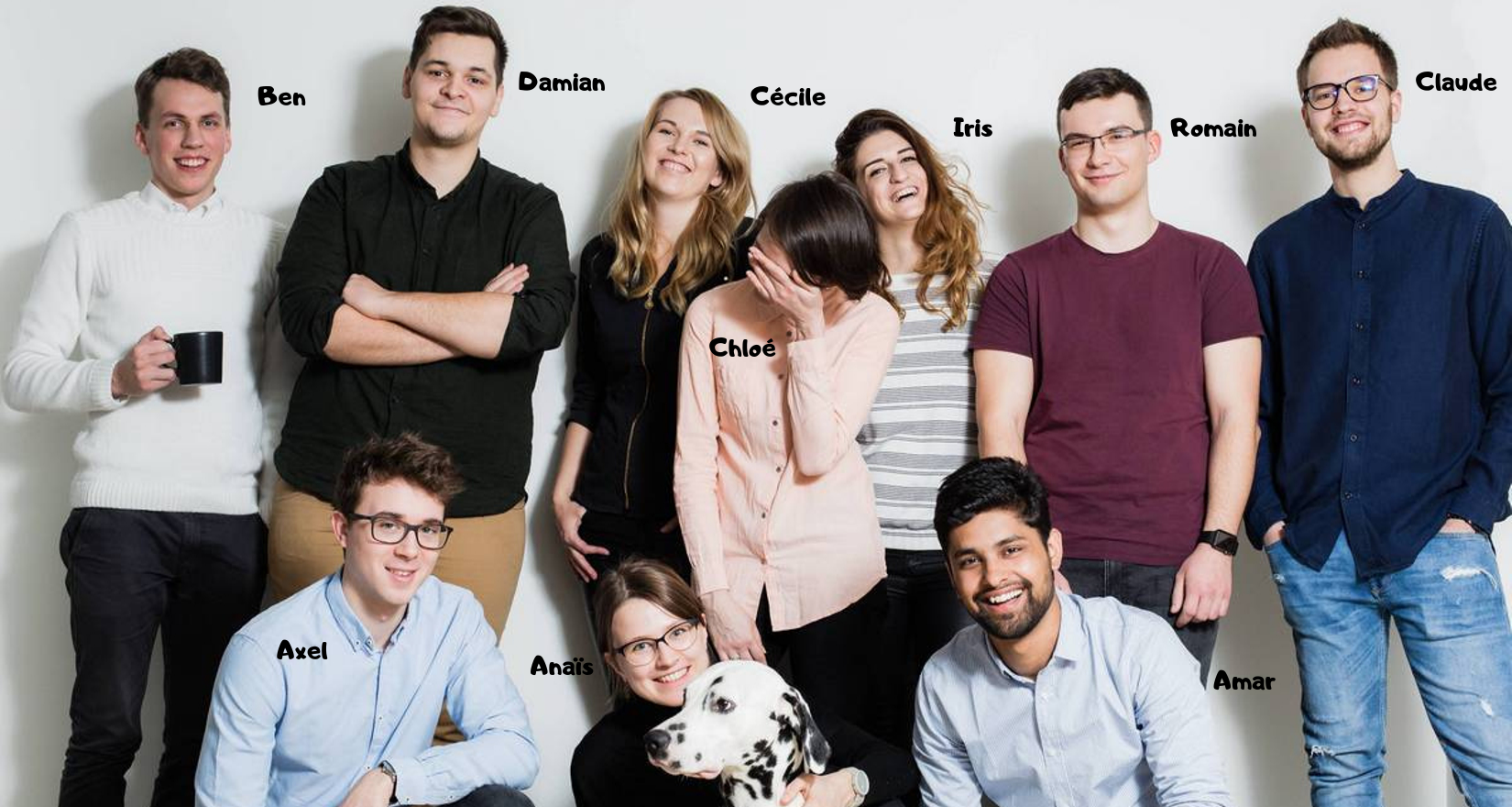 Lion Royaume Team.